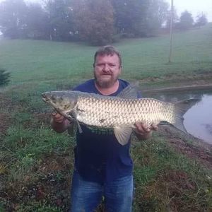 Meet your Posher, Anthony